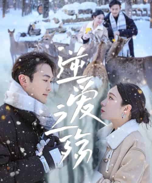 逆爱之殇(60集)吴帆&安安-初遇资源网