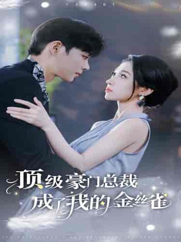 顶级豪门总裁成了我的金丝雀（85集）王格格-初遇资源网