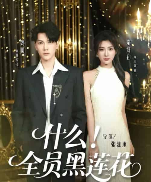 什么！全员黑莲花（60集全）魏鹏＆宗妍初-初遇资源网
