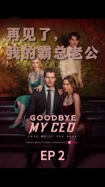 再见了,我的霸总老公&goodbye my ceo-初遇资源网