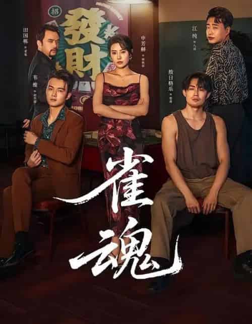 雀魂(60集全)申芳赫&敖日格乐-初遇资源网