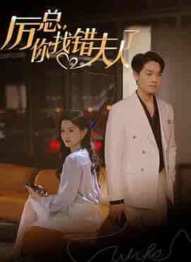 厉总,你找错夫人了(103集)-初遇资源网