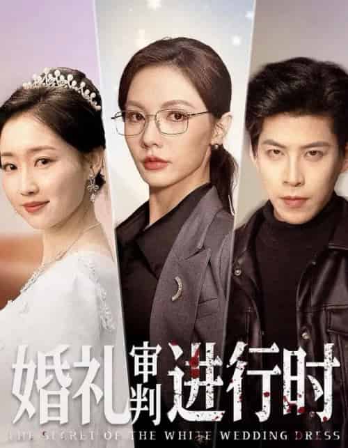婚礼审判进行时（62集全）王为洋＆倪若芸-初遇资源网