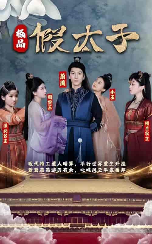 极品假太子(100集)-初遇资源网