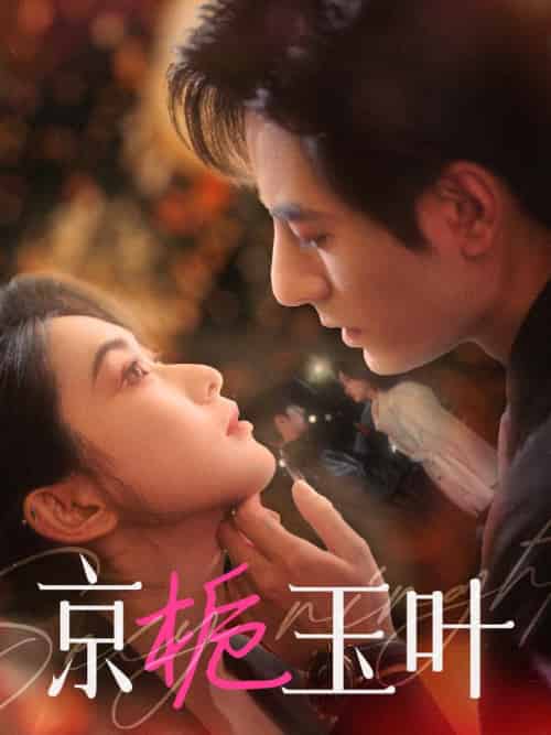 京栀玉叶（85集全）李豪＆崔十一-初遇资源网