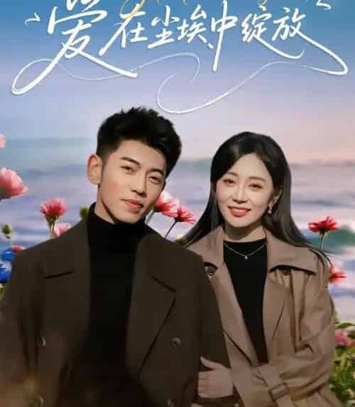 爱在尘埃中绽放（86集全）李泉成＆姚宇晨 - 夸克短剧