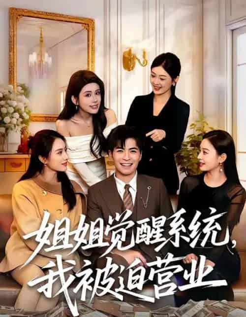 姐姐觉醒系统，我被迫营业（80集全）陈一孚＆雷子-初遇资源网
