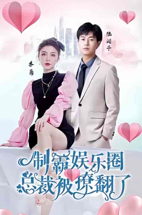 制霸娱乐圈，总裁被撩翻了（93集）-初遇资源网