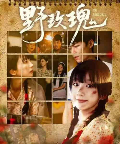 野玫瑰（82集全）钊瑞＆象韵洁-初遇资源网