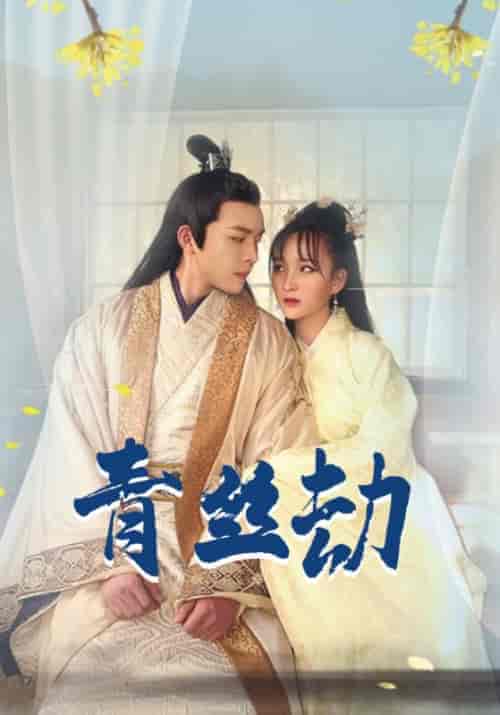 青丝劫（22集全）薛瑞＆慕晴-初遇资源网