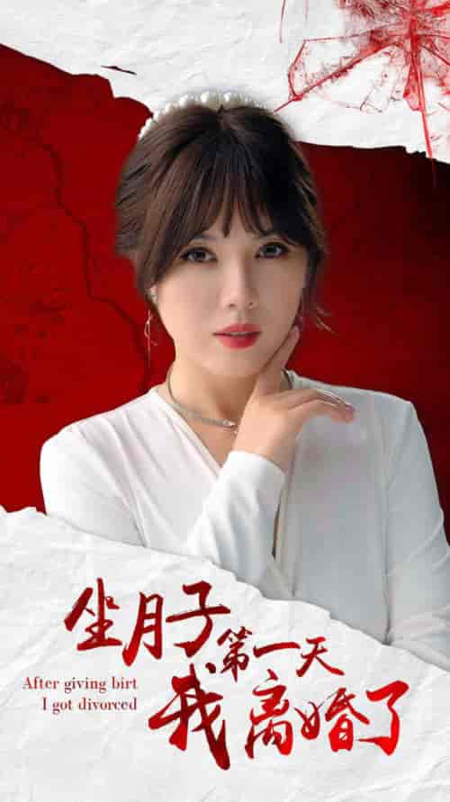 坐月子第一天我离婚了(30集全)-初遇资源网