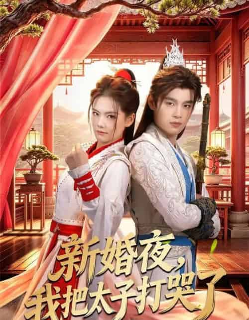 新婚夜,我把太子打哭了(52集全)房静&刘杰睿-初遇资源网