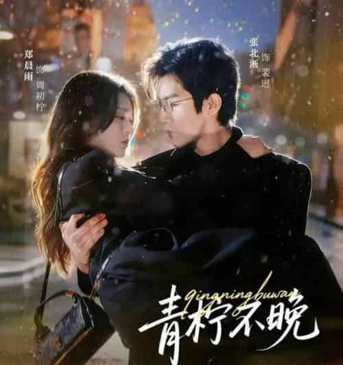 青柠不晚(78集全)郑晨雨&张北淅-初遇资源网
