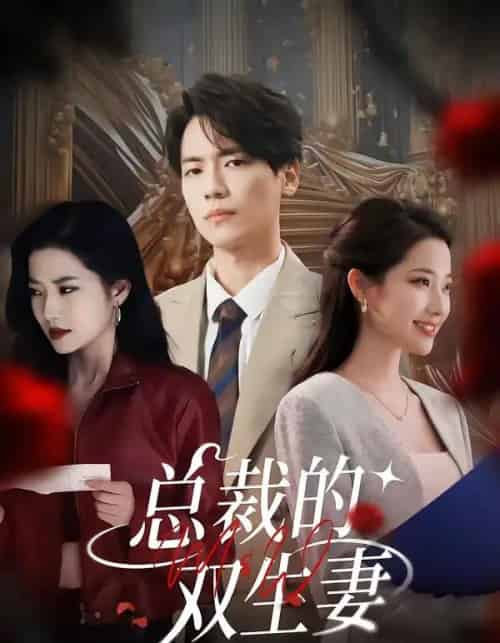 总裁的双生妻（76集全）段柒萱＆杰士鸣-初遇资源网