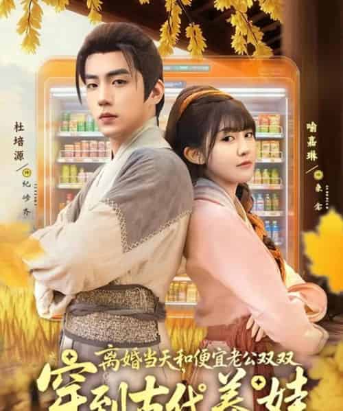 离婚当天,和便宜老公双双穿到古代养娃(71集全)杜培源&喻嘉琳-初遇资源网