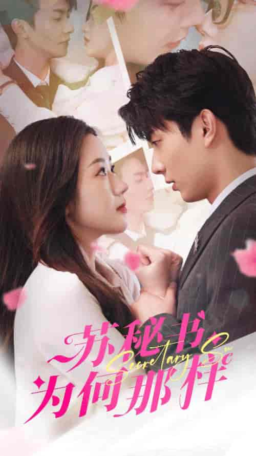 苏秘书为何那样＆报告苏秘书，傅总想上位（96集）-初遇资源网