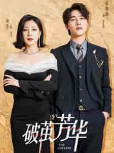 破茧芳华（80集全）-初遇资源网