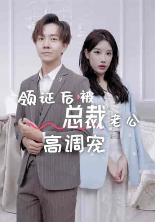 领证后，被总裁老公高调宠（79集全）容凛＆蒋菡冰-初遇资源网