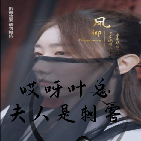 哎呀叶总夫人是刺客（79集）-初遇资源网