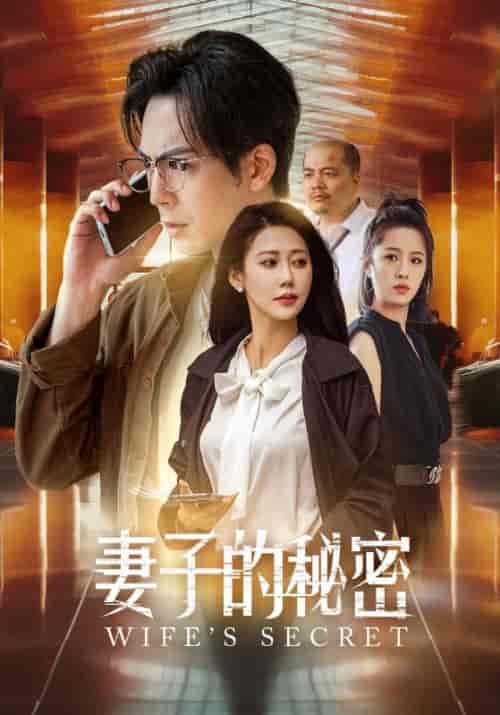 妻子的秘密（38集）杨鹏＆李梦蕾-初遇资源网