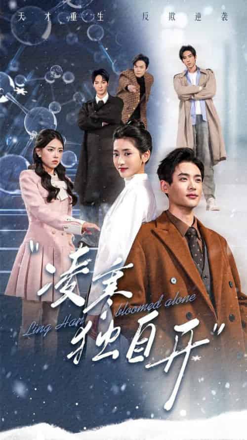 凌寒独自开(59集全)秦远&汪巧-初遇资源网