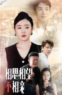 相思相望不相亲（70集全）-初遇资源网