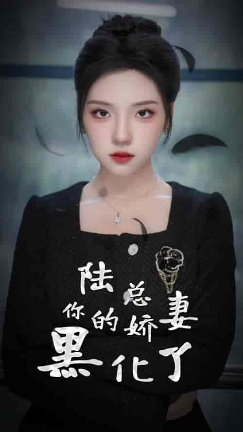陆总,你的娇妻黑化了(67集)-初遇资源网