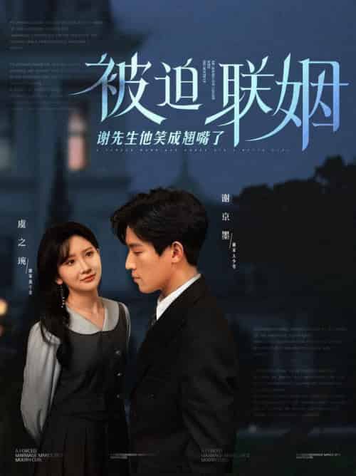 被迫联姻谢先生他笑成翘嘴了（100集全）肖茜文-初遇资源网