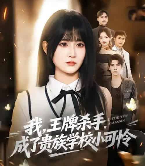 我,王牌杀手,成了贵族学校小可怜&我王牌杀手成了贵族学校小可怜(80集全)吴宇航&杨珊子-初遇资源网