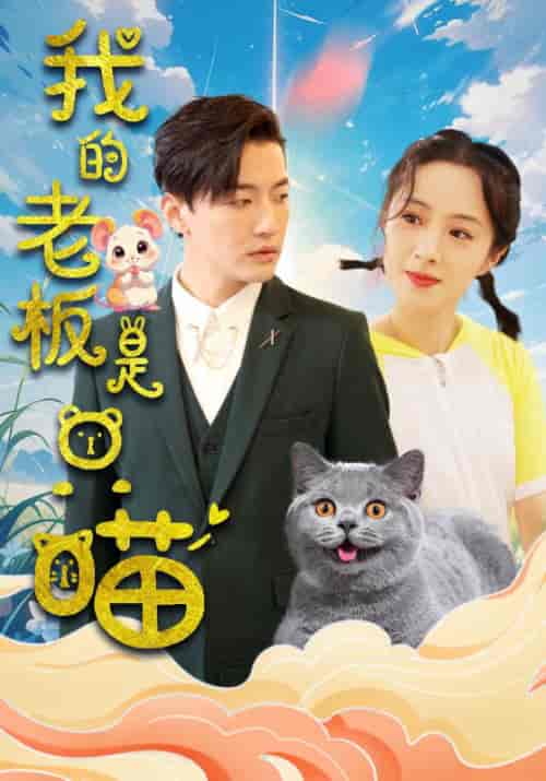 我的老板是只喵（86集全）-初遇资源网