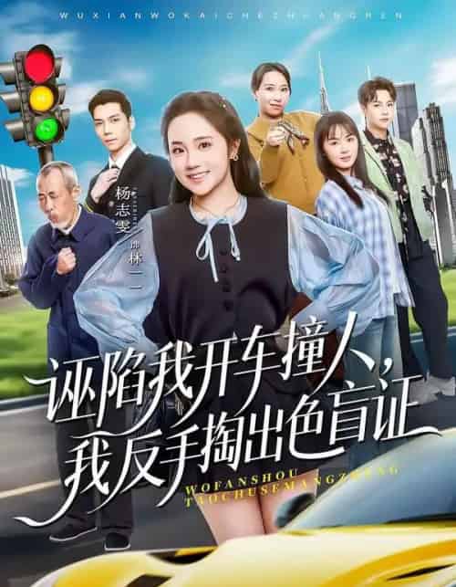 诬陷我开车撞人，我反手掏出色盲证（70集全）王俊杰＆杨志雯-初遇资源网