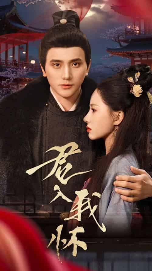 君入我怀(60集全)-初遇资源网