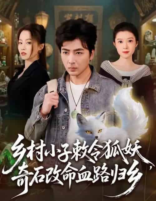 乡村小子敕令狐妖，奇石改命血路归乡（80集全）郑明洋＆杨雨欣-初遇资源网