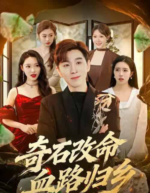 奇石改命血路归乡（81集全）胡程耀＆薛薛-初遇资源网