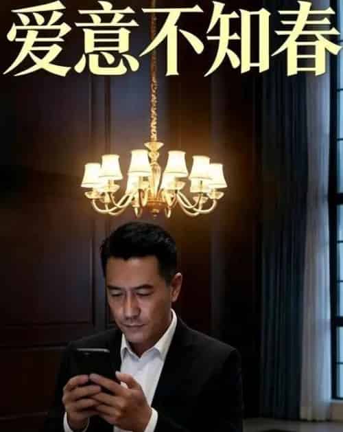 爱意不知春（32集全）AI-初遇资源网