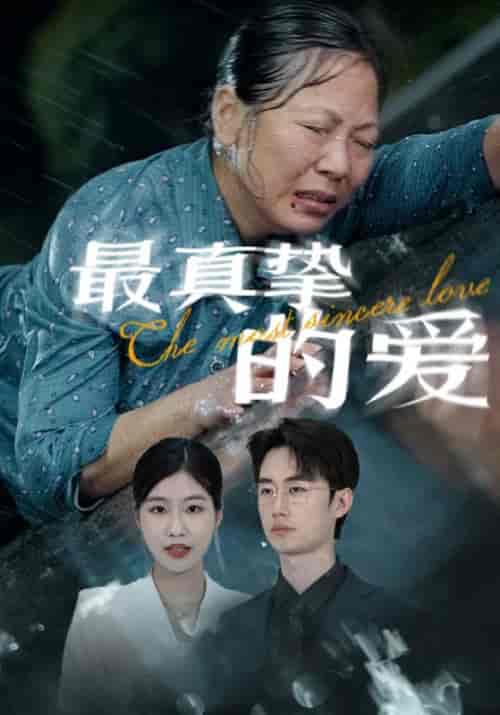 最真挚的爱（76集）-初遇资源网