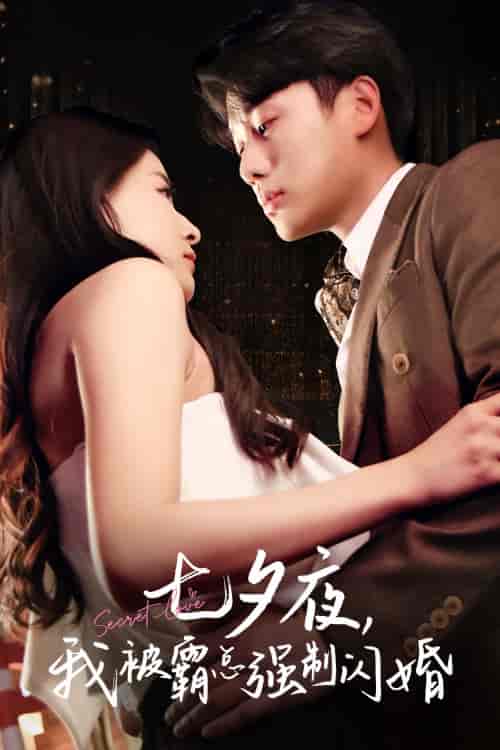 七夕夜我被霸总强制闪婚（77集）-初遇资源网