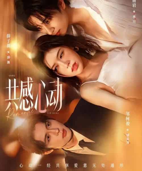 共感心动（66集全）侯朋岩＆薛子祺-初遇资源网