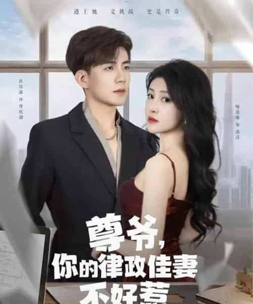 尊爷你的律政娇妻不好惹(81集)杜培源&喻嘉琳-初遇资源网