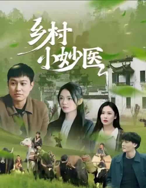 乡村小妙医(60集)-初遇资源网