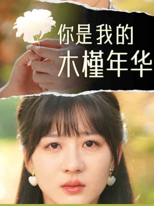 你是我的木槿年华（80集全）姜真真＆霍司辰-初遇资源网