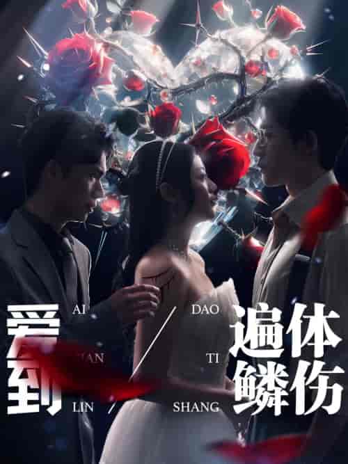 爱到遍体鳞伤(84集)-初遇资源网