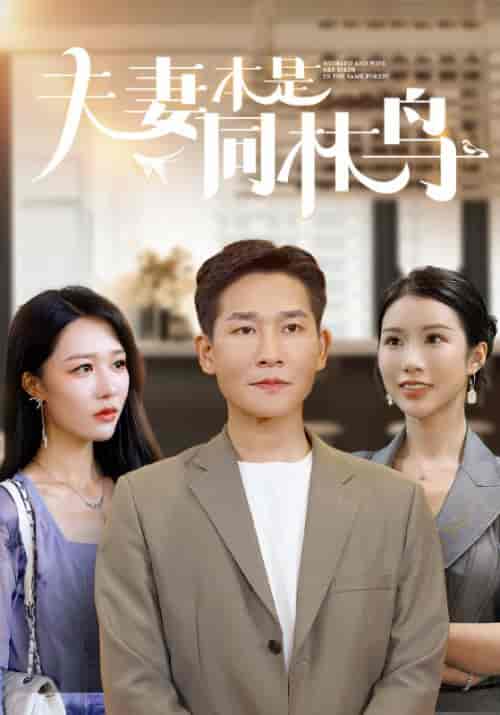 夫妻本是同林鸟(76集)李可馨 钟莹玲-初遇资源网