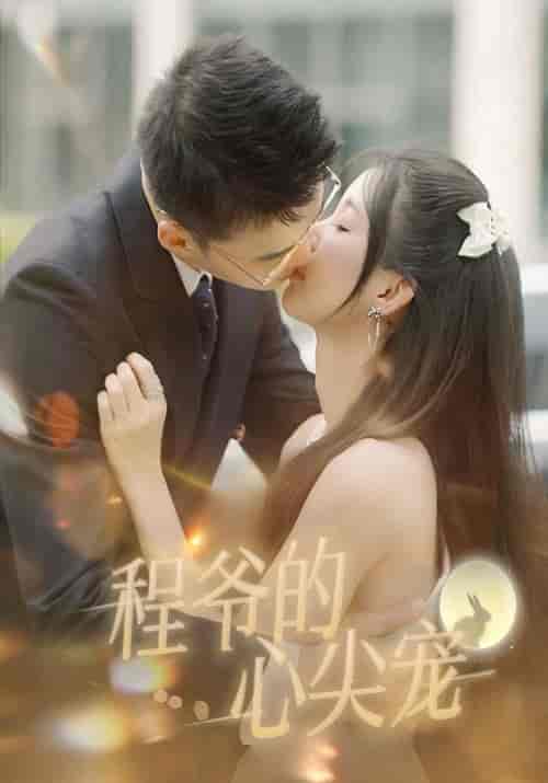 程爷的心尖宠（40集全）程君昊＆左柒柒-初遇资源网