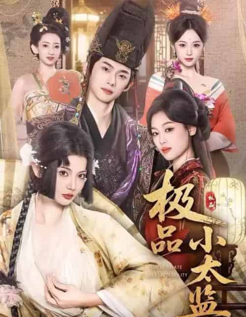 极品小太监（80集全）王星辰＆木杉-初遇资源网