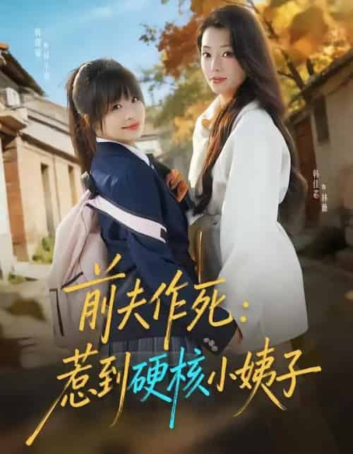 前夫作死：惹到硬核小姨子（62集全）韩佳芯＆韩露瑜-初遇资源网