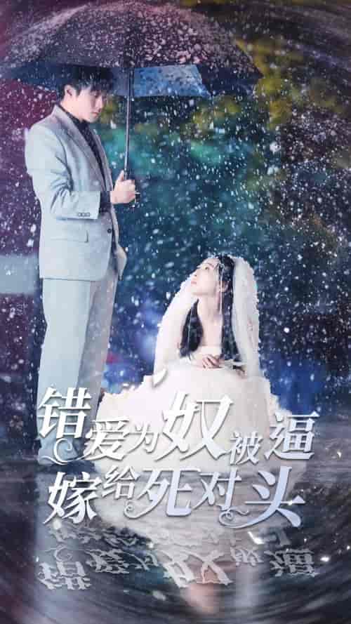 错爱为奴被逼嫁给死对头(90集)-初遇资源网