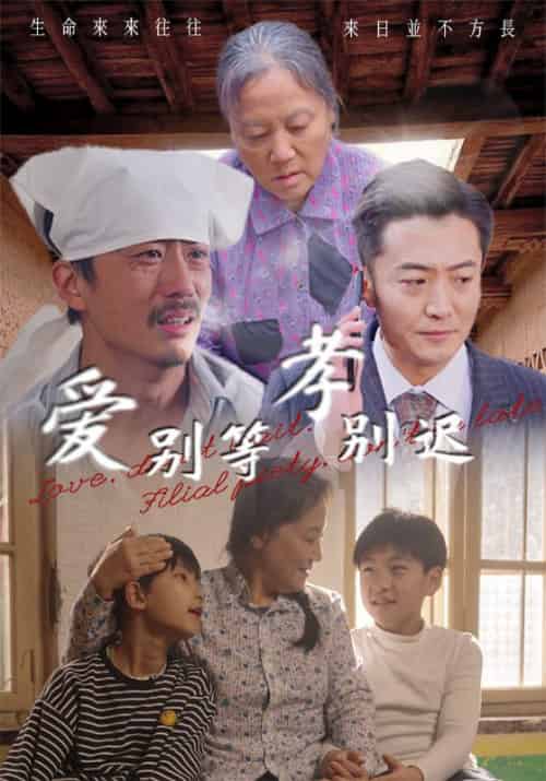 爱别等，孝别迟（56集全）张二宝＆周红梅-初遇资源网