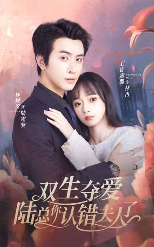 双生夺爱陆总你认错夫人了（94集）-初遇资源网