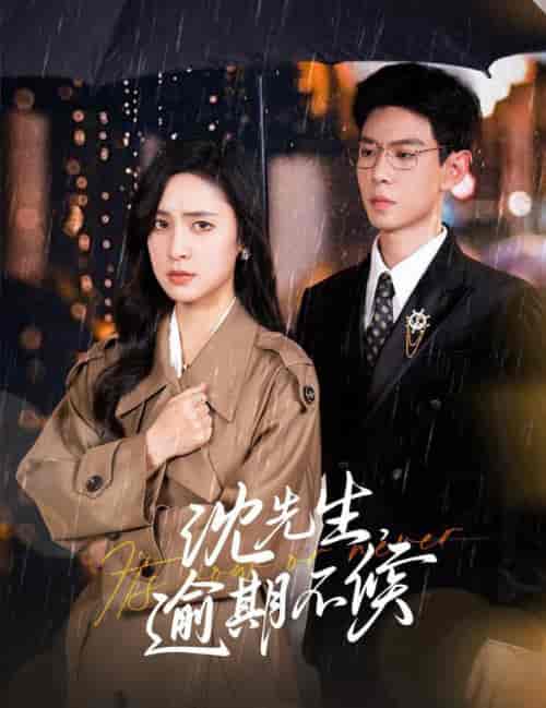 沈先生逾期不候（75集全）宋彧佳＆黄浩雯-初遇资源网